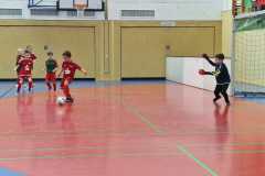 IMG-20260208-WA0020