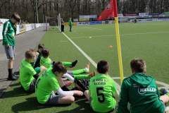 IMG_20260411_120609