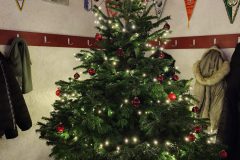 IMG_20251205_163546-scaled